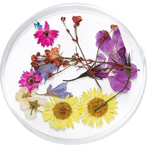 3D Decoration Real Natural Dried Flower For UV Gel Acrylic Nail Art Tips