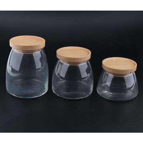 Food Storage Jar Kitchen Organizer Canister Snack Coffee Container Bottle with Airtight Beech Wooden Lid, 500/750/1000ML