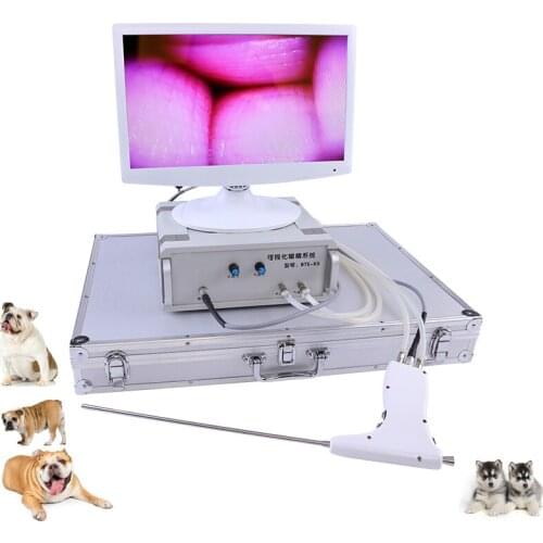 Dog Table Video Endoscope Bulldog Sperm Camera AI Gun Digital Corgi Artificial Insemination Canine Breeder Pet Hospital Hot Vet