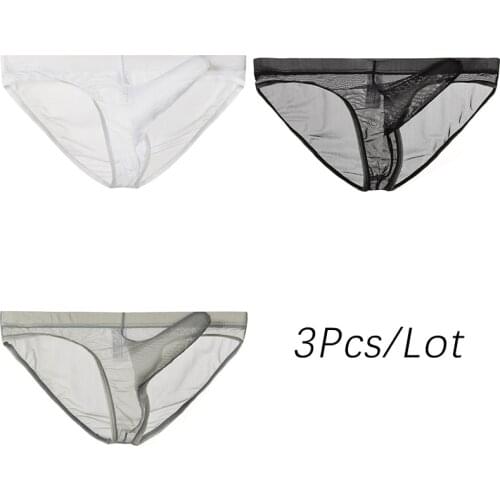 3Pcs/lot Men Sexy Ultrathin Mesh Underwear Mens Elephant Nose Bulge Penis Pouch Panties Briefs Transparent Male Underpants Cueca
