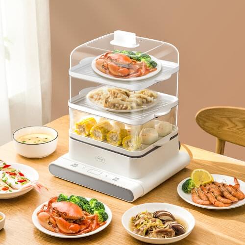 ZHENMI Electric Steamers