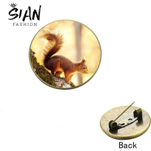 SIAN Anime Cute Squirrels Brooch Pin Animal Art Picture Round Glass Cabochon Lapel Pin Badge Jewelry Gifts for Kids Women Girls