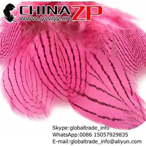 Leading Supplier CHINAZP Factory 500pcs/lot 8~10cm Length Selected Top Quality Pink Dyed Silver Pheasant Plumage Feathers