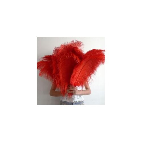Wholesale free shipping high quality 50pcs natural red ostrich feather 20-22inch / 50-55cm Variety of decorative