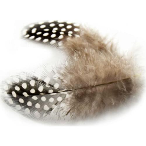 Wholesale 200 PCS Guinea Fowl Spotted Feather Craft Chicken Feather Gull Wedding Brooch Feathers Ornaments Length 5-10cm IF54