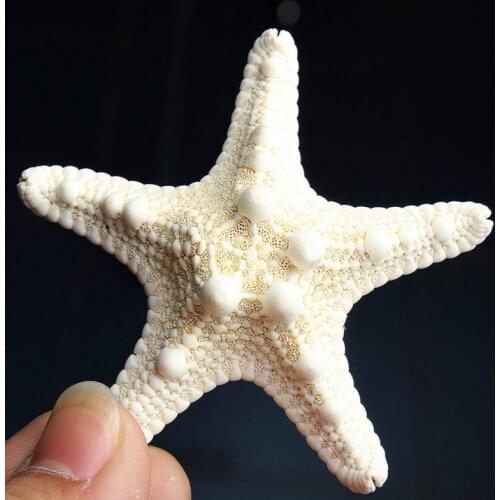 1pcs Mini Starfishes Craft Decoration Natural Mediterranean Sea Stars DIY Beach Cottage Wedding Birthday Party Decor