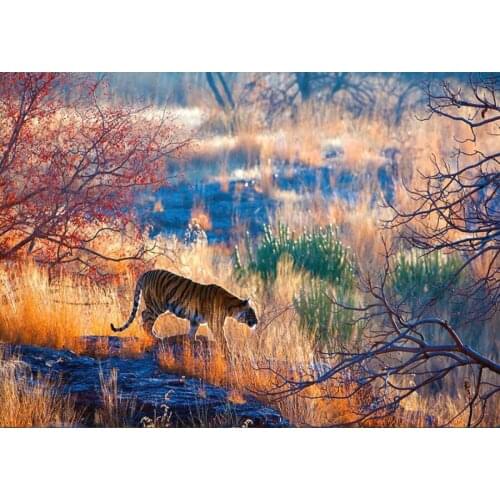 5D DIY Diamond Painting Scenic forest Full Square 3D Diamond Embroidery Siberian tiger Pictures Of Rhinestones Decoration TY943