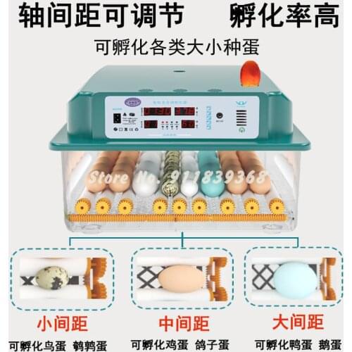 Water Bed Incubator Automatic Small Household Peacock Incubator Duck Goose Pigeon Chicken Incubator