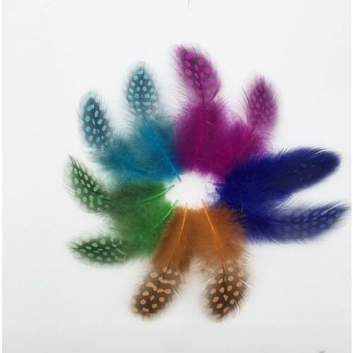 5-12CM Fluffy Feathers Colourful Guinea Fowl Spotted Feathers Loose Guinea Hen Women Feather Accessories Multi-colors 200Pcs/Lot