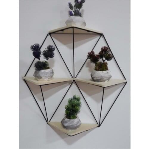 Decorative Wrought Iron Cactus Flower Shelf Wooden Geometric Prism shelves bookshelf Furniture for home libraries Shelving