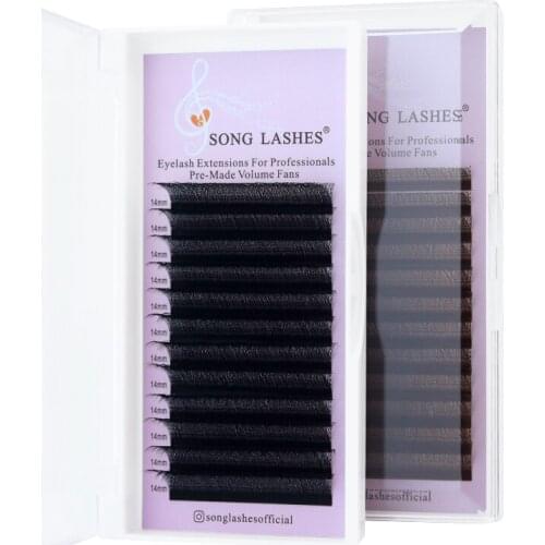 SONG LASHESAutomatic Flowering W Shape Bloom 3D Premade Fans Eyelash Extensions Natural Soft Light Individual Lashes Full Dense