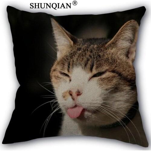 Cat Pillowcase Custom Cotton Linen Square Decorative Pillow Cases Cover Zippered 45x45cm one side