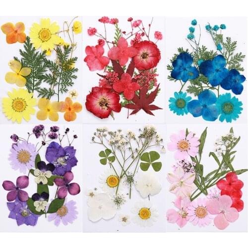 1 Pack Real Natural Dried Flowers UV Resin Epoxy Jewelry Making Beauty Decal For DIY Nail Art Decoration Face Makeup Accessories