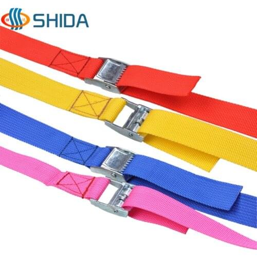 New High Quality 5 pcs 2.5cm*50cm Metal Cargo Lashing PP Webbing Strap Ratchet Tie Down With Cam Buckle Winch Strap