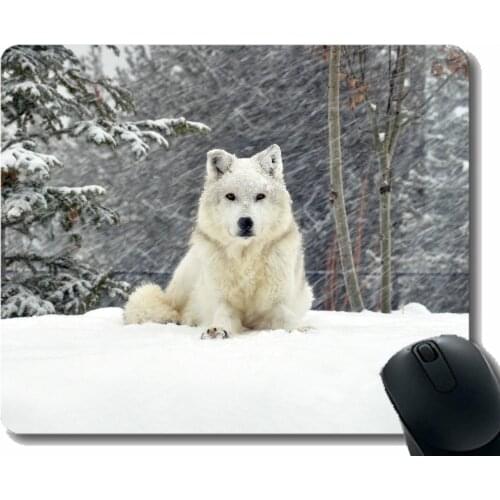 Rectangle Mouse Pad,Animal wolf kids Mousepad Nonslip Rubber Backing