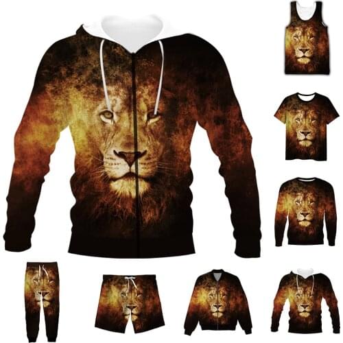 New Fashion 3D Full Print Animal Lion T-shirt/Sweatshirt/Zip Hoodies/Thin Jacket/Pants Four Seasons Casual Suit V17