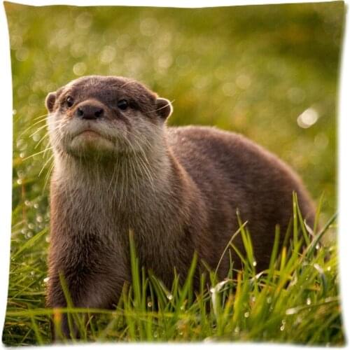 Customized Sofa Cushion Cover Sea Otter Throw Pillow Case Decorative Cotton Line Cushion Case Home Decor 45X45CM