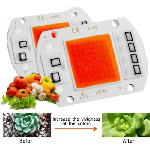 LED Grow Chip Phyto Lamp Full 220V/110V 20W 30W 50W For Indoor Plant Seedling Grow and Flower Growth Lighting Plant