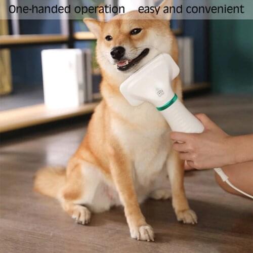 Pet Dog Hair Dryer Comb Grooming Blower with Adjustable Temperatures Settings for Small and Medium Dogs and Cats