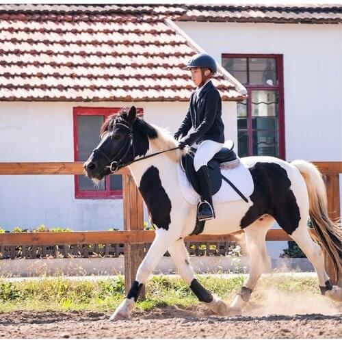 Equestrian Breeches Riding Pants Childrens Riding Competition Clothes Non-slip Wearable High Elasticity Equestrian Equipment