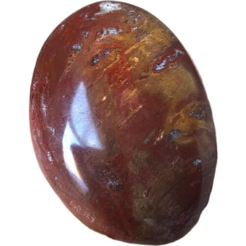 Natural Fossil Wood Original Stone Play Hand Paper Petrified Wood Mineral Specimen Bulk Material