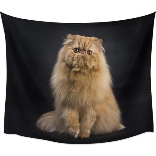 Persian Cat Animal Cute Pet Tapestry Wall Hanging Home Wall Decor Bedroom Tapestry Yoga Mat Picnic Mat