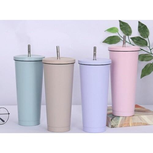 750ML Drinking Tumbler w/Straw Simple Large Capacity Vacuum Insulated Stainless Steel Tumbler Water Storage Tumbler for Travel