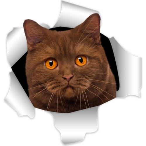 Three Ratels wall stickers for children home decoration living room wall sticker art for bedroom car sticker