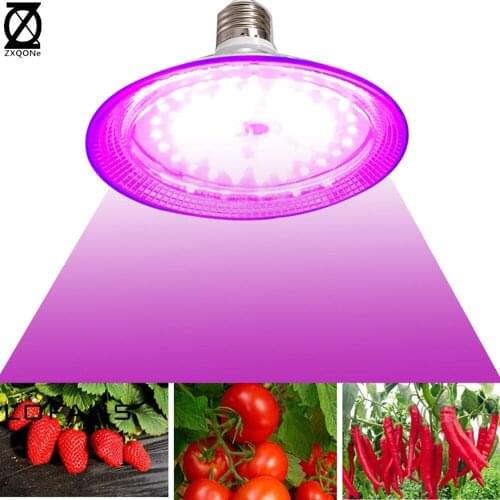 LED Grow light Grow E27 Bulb 110/220V Full spectrum 6500K 660NM 450NM with Spotlight Hydroponic Growth Light Phyto Lamp Indoor