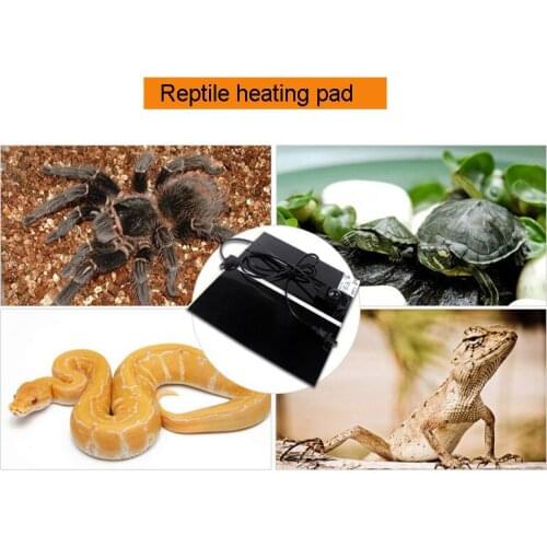 Reptile Heating Pad Adjustable Temperature Controller Incubator Mat Tools Terrarium Reptiles Heat Mat 5-28W Climbing Pet EU Plug