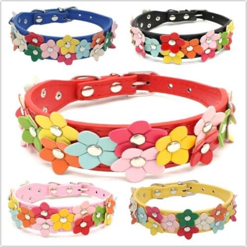 Berry Collars