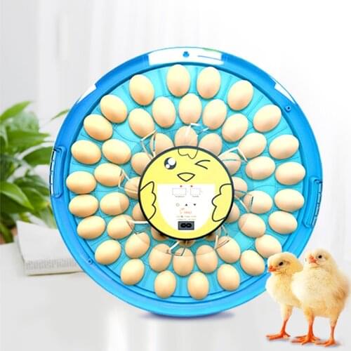 HHD Incubator Egg Automatic Chicken Incubator 52 Eggs Turning Fully Automatic Machine For Hatchery Quail Animal Farm Newest