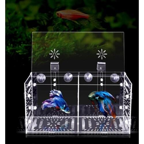 Fish Breeding Box Acrylic Fish Isolation Box Aquarium Hatchery Incubator with Suction Cups for Newborn Shrimp Guppy