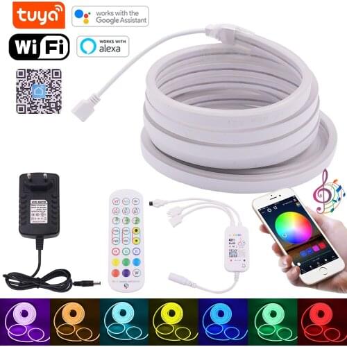 12V WiFi LED Strip Light With Tuya Smart Life App Control Flexible Neon Sign Waterproof Neon Light Tape Ribbon Backlight Decor