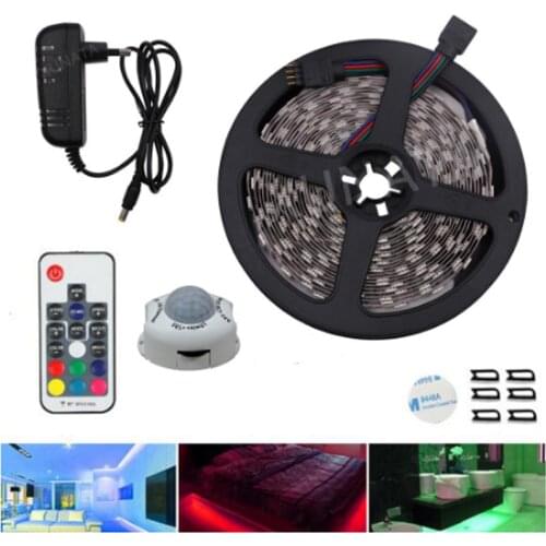 12v LED Motion Sensor Cupboard Wardrobe Bed lamp Under Cabinet Night light 5050 rgb LED Strip +110V 220V US EU Power Supply Suit