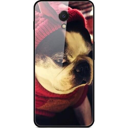 Meaford Meizu Phone Cases
