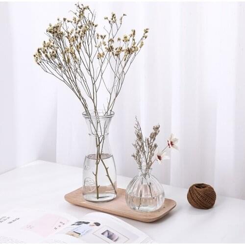 Hydroponic Plants Vase Simple Creative Glass Vase Home Decorative Table Transparent Flower Vase