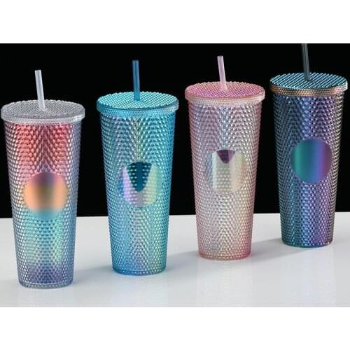 Straw Cup Rainbow Color Double Wall Matte Finish Reusable Plastic Water Cup Double Wall Water Cup Water Bottle with Straw