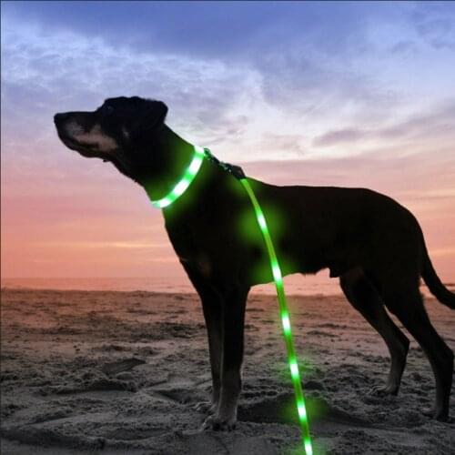 Pet dog luminous leash collar USB charging LED dog walking collar leash three shining modes are strong and durable