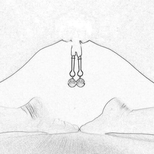 BEEGER Sex Toy Nipple Clamp,Labia Bondage Clip Restraints Sex Toys Pinzas Pezones Clips,Adult Couples Games