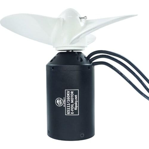 Flipsky Inrunner Brushless DC 66112 Motor 130KV 3KW for Surfing Boat Underwater Thruster |Hydro | Efoil