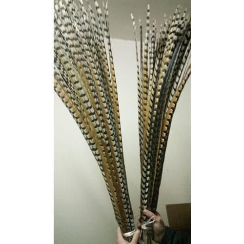 Wholesale perfect 10pcs Rare natural Reevess Pheasant feathers 40-44inch/100-110cm Decorative diy