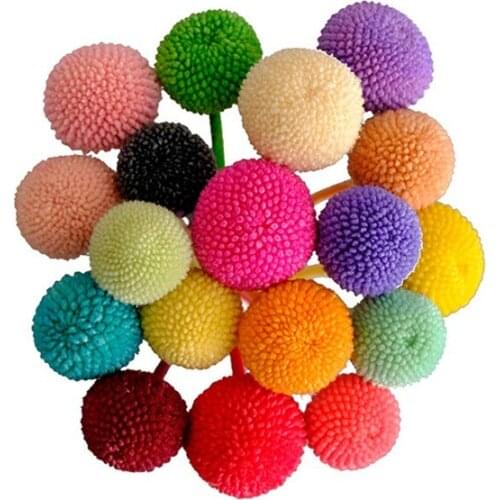 Yellow Billy Ball Dried Preserved Flowers Bouquet Wedding Bride Decorative Home Decor Eternell Craspedia Gold Orbs Plant Natural