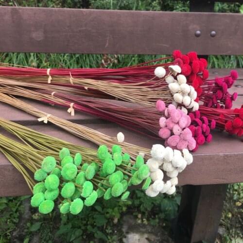 60PCS,Natural display Dried Botton Flower for Wedding Home Floral Decoration,Mini Dried Eternal Flower the Beauty and Beast Rose