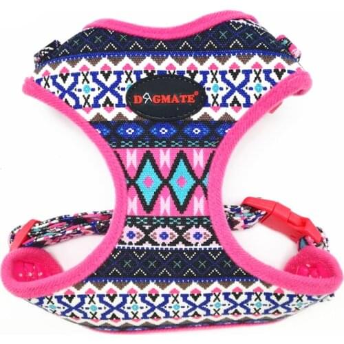 Dog Harness Small Folk Style Soft Canvas Pet Harness and Leash Set Breathable Adjustable Puppy Harness Vest Walking Leads Yorkie