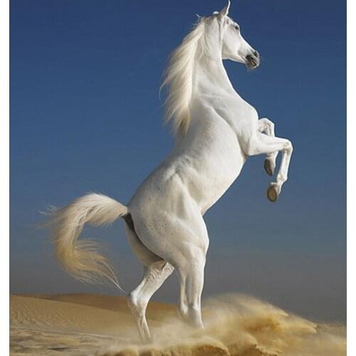 R8270 11CT/14CT/18CT/25CT/28CT oil scenery patterns Counted Cross Stitch DIY Cross Stitch Kits Embroidery Needlework Sets