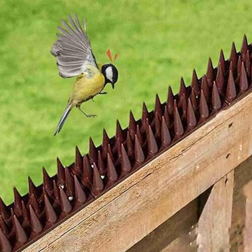 Bird Repellent Thorns For Fences Anti-bird Spikes Against Birds Garden Outdoor Decoration Scare Cat Anti Pigeon Repeller Animal