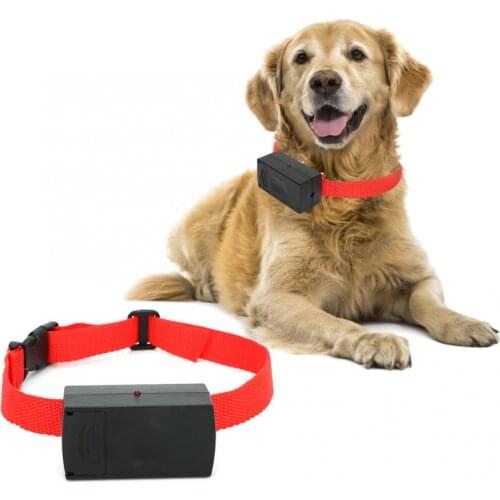 Harness Dog Seat Belt Accessoires Pet Dog Collar