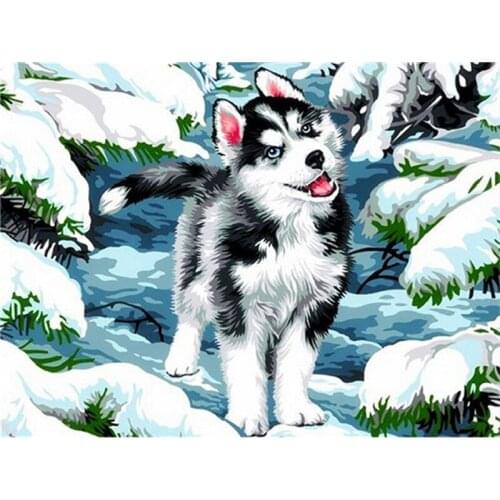 DIY 5D diamond painting painting dog full circle/full square rhinestone kit cross stitch mosaic home decoration handmade