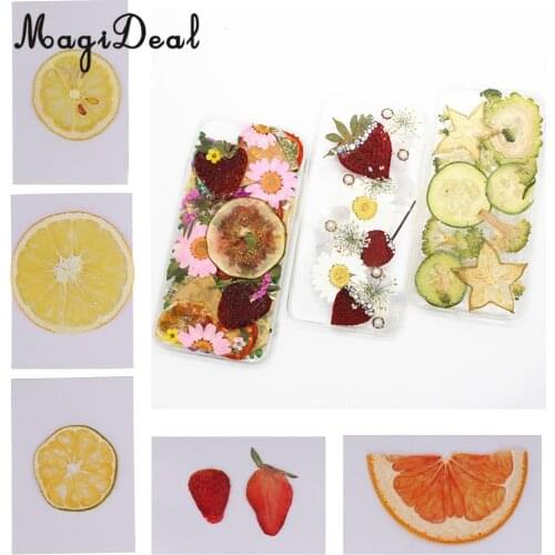 MagiDeal Natural Real Dried Fruit Slice Specimen for Christmas Home Garden Ornament Art Craft Wreath Florist Decoration